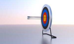 Keeping Agile on Target [Business Acumen]