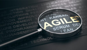 Agile Portfolio Management [Business Acumen]