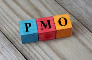 The PMO in a Capability-Driven World