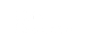 Chief Executive